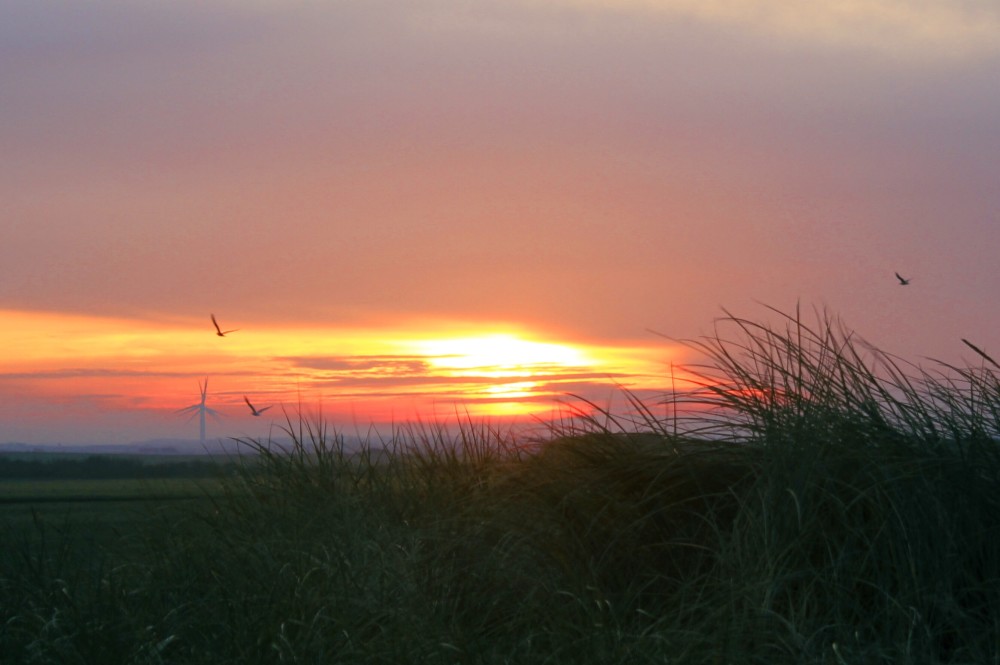 Sonnenaufgang Nordsee