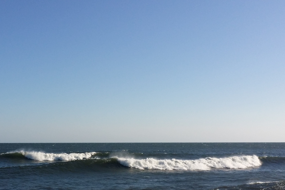 Auch die Ostsee hat geliefert... © Vincent Bakker