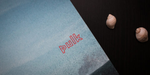 Titelblatt Pulk